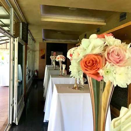 Calypso 特拉夫尼克